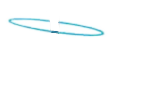 Divine Logo white